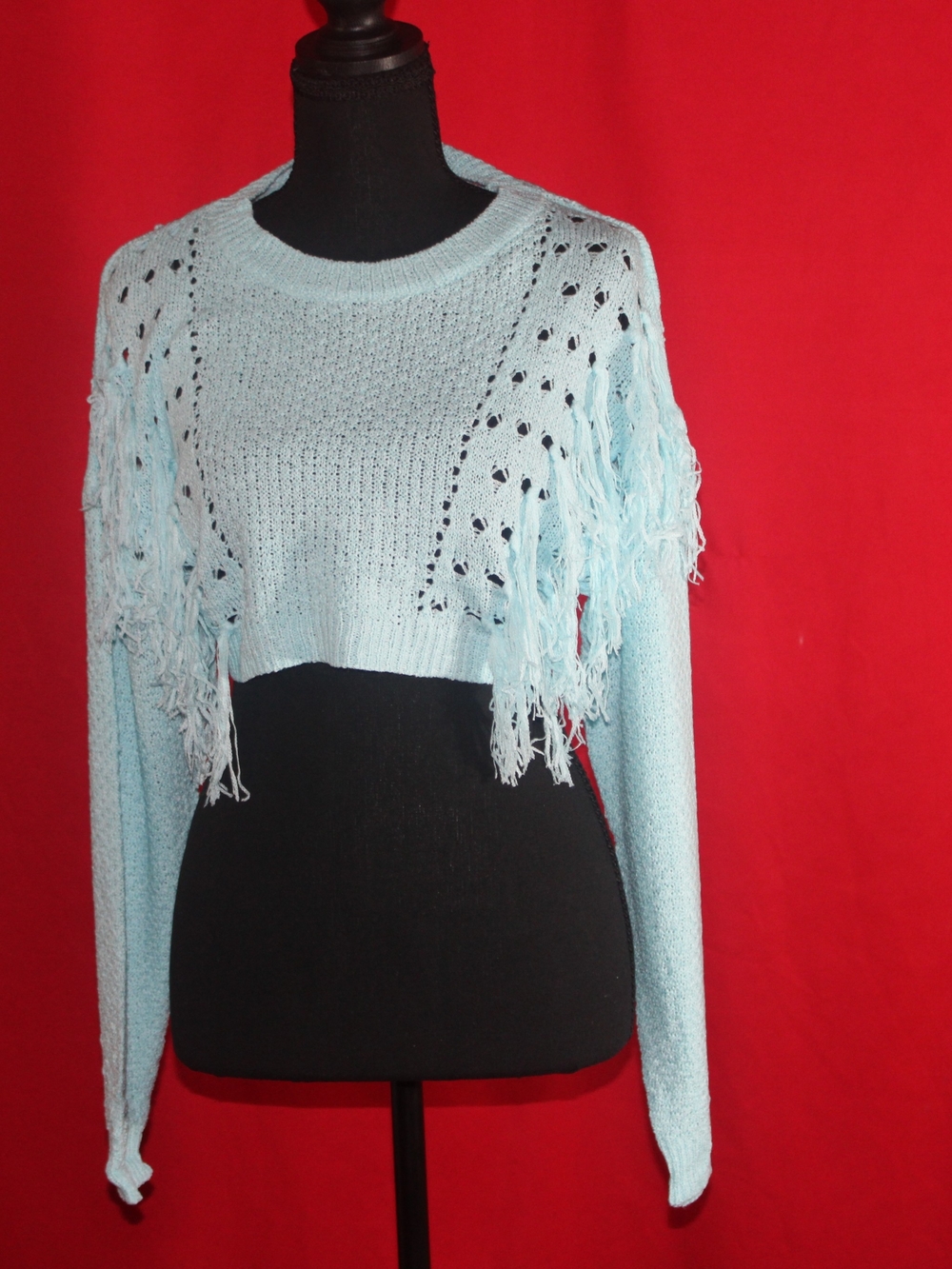 Hot & Delicious Light Blue Cropped Fringe Knit Sweater